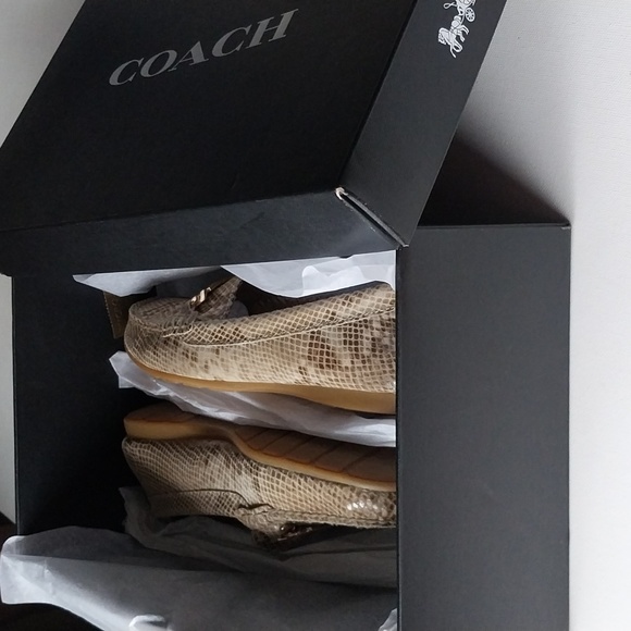 COACH Slip-On Driver Shoe  Leather Snakeskin Goldtone Coach Bar  Size 9 - Picture 12 of 12